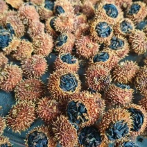 刺利红茶