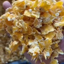 玉米压片