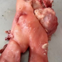 正宗牧原猪头肉，7分熟，加工只放了一点点盐，一件20斤