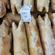 纯干火烧毛一级猪蹄，猪蹄中的天花板