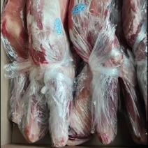 内蒙羊腿到货，独立包装山东腾惠将成为更多客户的选择