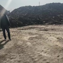 发酵羊粪