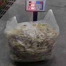 折耳根。
