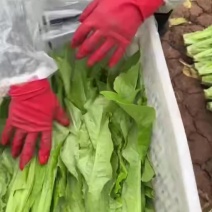 精品油麦，支持各种包装，全国发货
