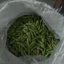 毛豆