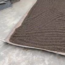五灵脂
