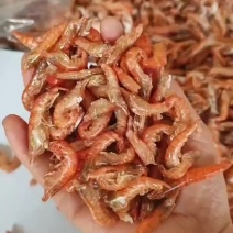 烘烤红虾，十成干，价格实惠，需要的老板联系我曾姐小鱼