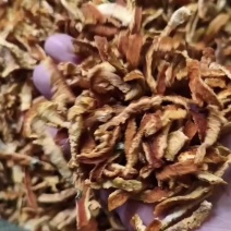陈皮