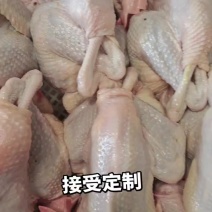 大量屠宰好的蛋鸡白条，二斤多三斤多都有，十来块钱一只！