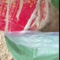 发酵豆渣湖南株洲茶陵发货直接喂养，，，，