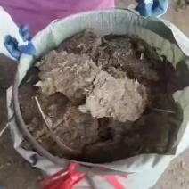 精品货，纯鸡粪，养殖户发货，一手货源，常年有货，量大从优