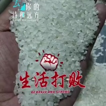 盐城大米、南粳9108、珍珠米