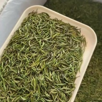 滇绿青针