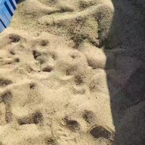 藜麦
