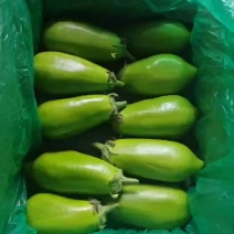 云南精品青茄
