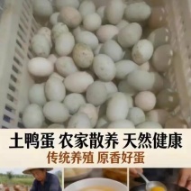土鸭蛋