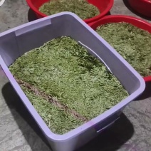 龙井茶