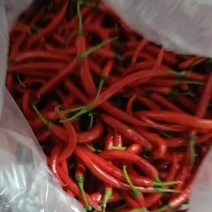 红小米一手货源大量供应市场电商质量保证