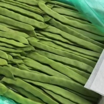云南新苗芸豆
