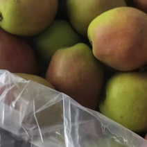 红香酥梨脆甜多汁