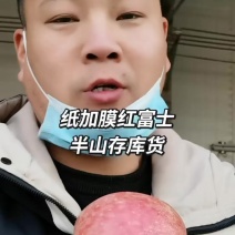 平原纸加膜红富士苹果/条红片红果口感酥脆【咸阳产区热卖】