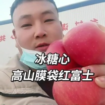 高山膜袋冰糖心红富士苹果高原一带口感脆甜可口@咸阳热销品