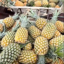 云南菠萝香水菠萝果大口感甜一手货源视频看货，全国