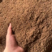 细枣粉高糖高能量