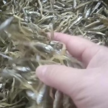 油炸公鱼，质量保证非常好，价格实惠需要的老板看过来