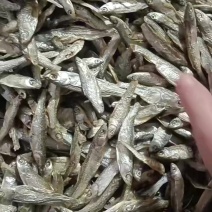 水煮白条，十成干，价格便宜，需要的老板联系我