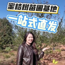 南丰蜜桔苗圃基地直供