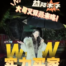 丛生香樟苗圃基地直供益阳木子