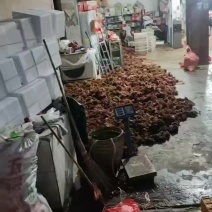 四川大竹县香椿