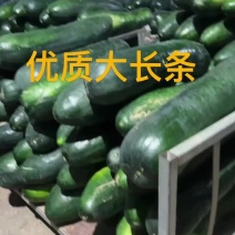 冬瓜