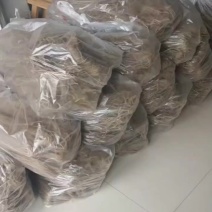 红薯粉条，正宗红薯粉条，量大批发价