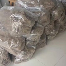 红薯粉条