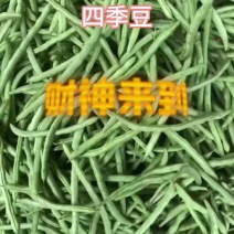 四季豆