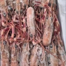 鳌虾，琵琶虾，龙虾都有
