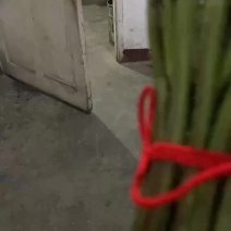 野生蕨菜，龙爪菜，每天现摘，