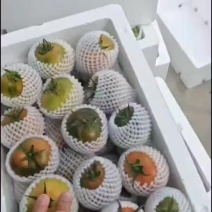 精品市场货草莓西红柿铁皮柿子