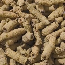 巴戟巴戟肉取芯巴戟天多种规格中药材农副产品