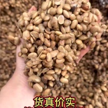 发酵大豆有机肥！纯黄豆发酵！
