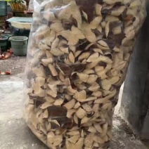 浦北陈皮