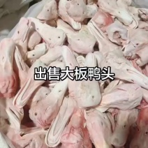 大板鸭头