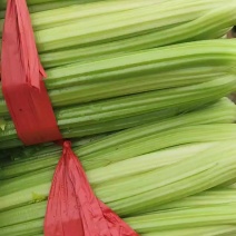 芹菜