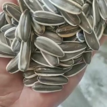 葵花