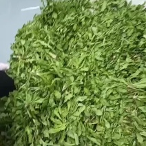 齐齐菜