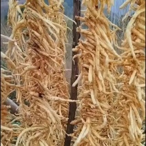 正宗沙参干货川明参无硫原色煲汤食材农家自晒滋补