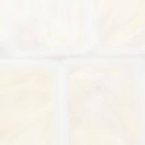 电商版250克精品黑鱼籽