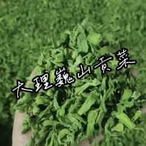 贡菜干次级源头厂家